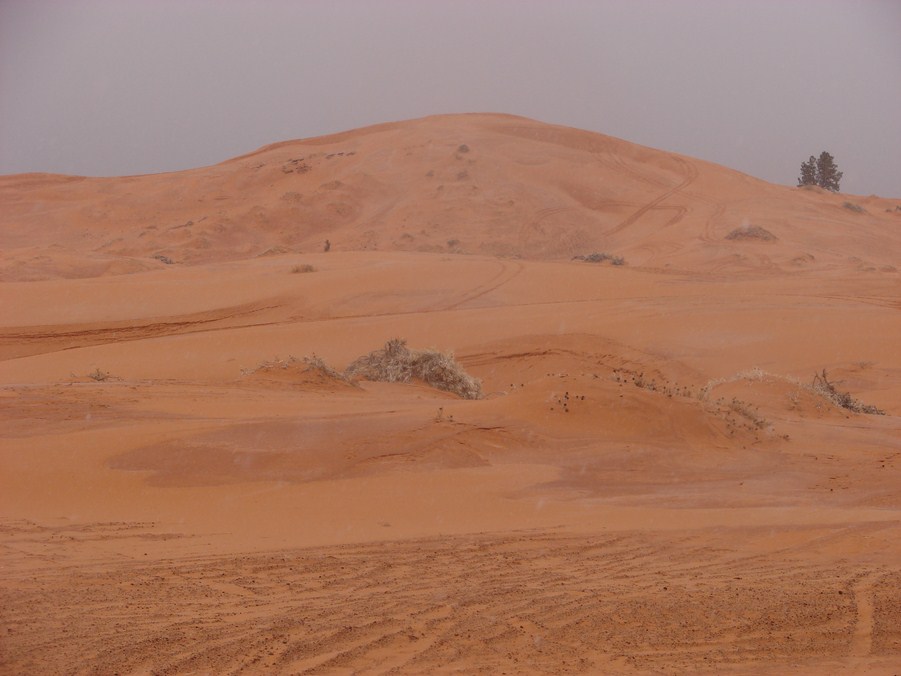 coral pink dunes (9).JPG